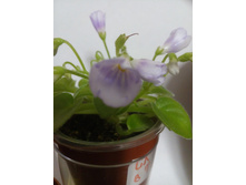 IMG 20170708 002149.jpg