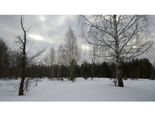 WP 20170224 12 54 10 Pro.jpg