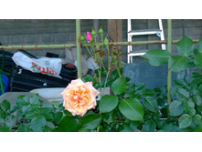 WP 20170716 18 49 57 Pro.jpg