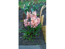 WP 20170508 11 52 24 Pro.jpg