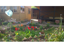 WP 20170521 16 16 59 Pro.jpg