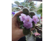 Rob's Hopscotch (R. Robinson)