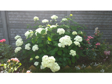 WP 20170804 09 38 52 Pro.jpg