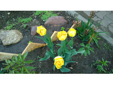 WP 20170521 16 17 20 Pro.jpg