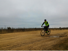 P 20171111 125217.jpg