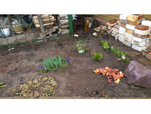 WP 20170508 11 52 46 Pro.jpg