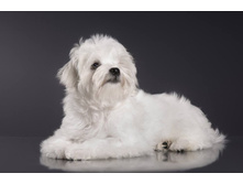 21534271 1556141494431985 1364887965 o.jpg