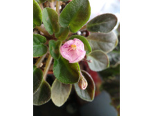 �-����������