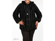 ������ 2620346-02.jpg