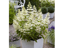 ��������18�*