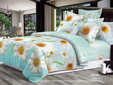 PK161 ������.jpg