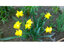 WP 20170527 09 49 15 Pro.jpg