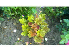 WP 20170811 16 50 05 Pro.jpg