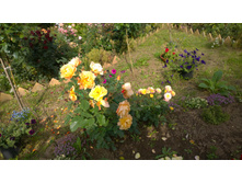 WP 20170914 09 57 51 Pro  highres.jpg