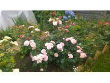 WP 20170721 09 12 19 Pro.jpg