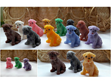 ����� �������� �����������, 30 ���