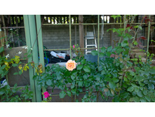 WP 20170716 18 49 57 Pro  highres.jpg