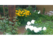 WP 20170701 15 20 47 Pro.jpg