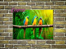 01181. ������� "����������� �������" 60*40