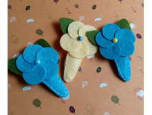 20170926 162741-1.jpg