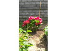 WP 20170630 12 47 57 Pro.jpg