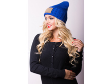 17009 ��������