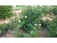 WP 20170629 10 51 53 Pro  highres.jpg