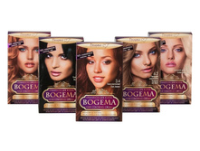 ����-������ ��� ����� BOGEMA ��� �������