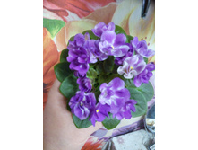 Munchkin' Kisses (S.Sorano)