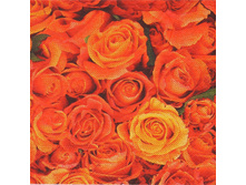 ������� �������� Prestige 3-�� 20� ���� 38,40.jpg