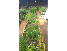 WP 20170701 15 23 36 Pro  highres.jpg