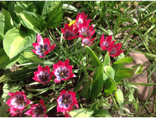 ������� ����� �����