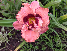 �������� ����� �������������