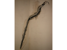 �����������-��