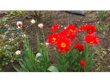 WP 20170527 09 47 04 Pro.jpg