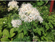 ����������� �����