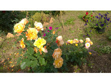 WP 20170914 09 57 51 Pro.jpg