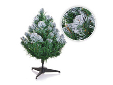 ��� � ����������