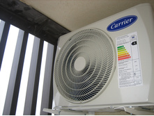 �����������-��