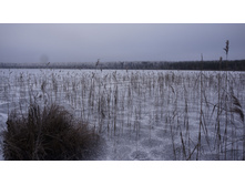 ����� �������