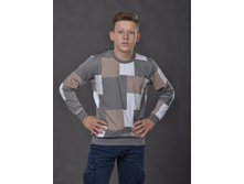 1/17-1060�� ������� ���. ������