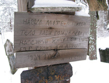 MG 8149.jpg