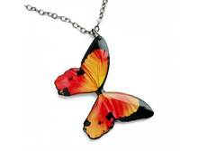 ����� ������� (����������)