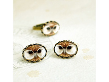 ������-�������� ������ ����