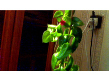 ������� � ����� ������� 2017 �