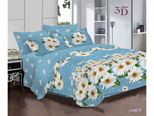 ���������� ����� �� ������� RP-168.jpg