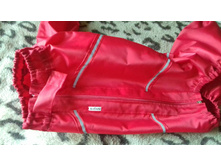 ����� ����� 1.jpg