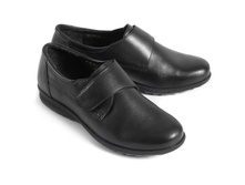 �������: 8-4009-011