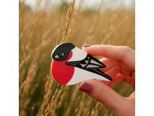 ����� �������