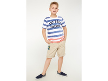 591beb05b9184 20110420025gayobezhevyy.jpg